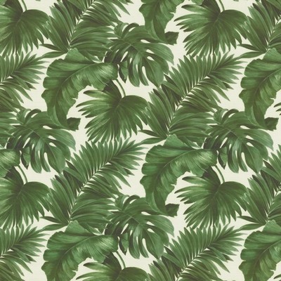 Kasmir Keanu Palm 110 Moss in 1453 Green Polyester  Blend Fire Rated Fabric Heavy Duty CA 117  Tropical  Vine and Flower   Fabric